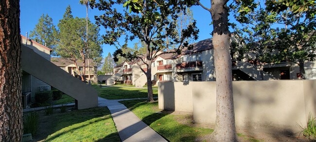 Espacio verde abierto con hermosos árboles entre edificios en Northwood Apartments en Upland, California.