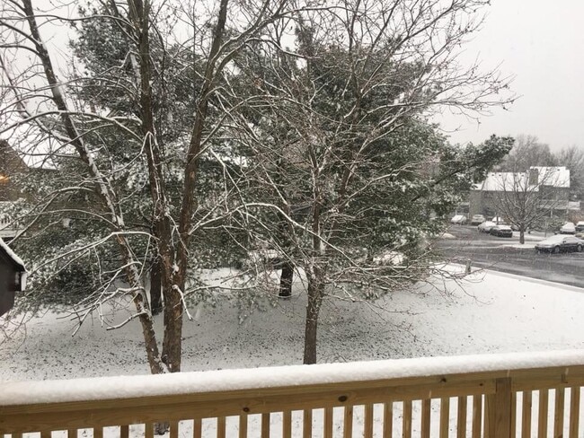 Photo - 23 Sandra Rd