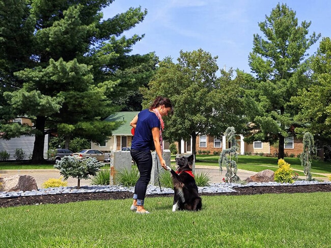 Off-Leash Dog Park