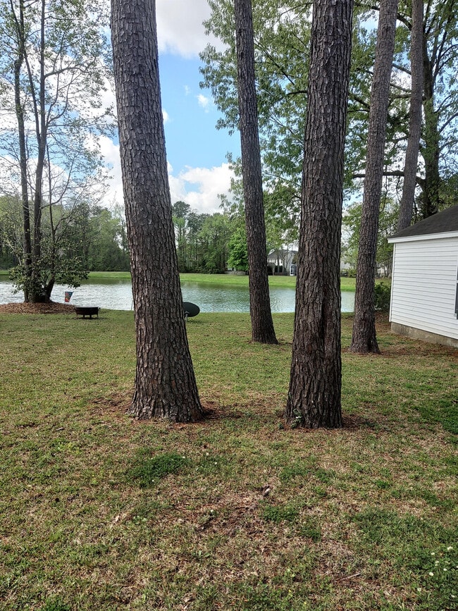 Photo - 8977 N Red Maple Cir