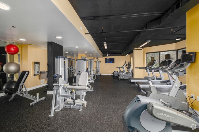 Gimnasio
