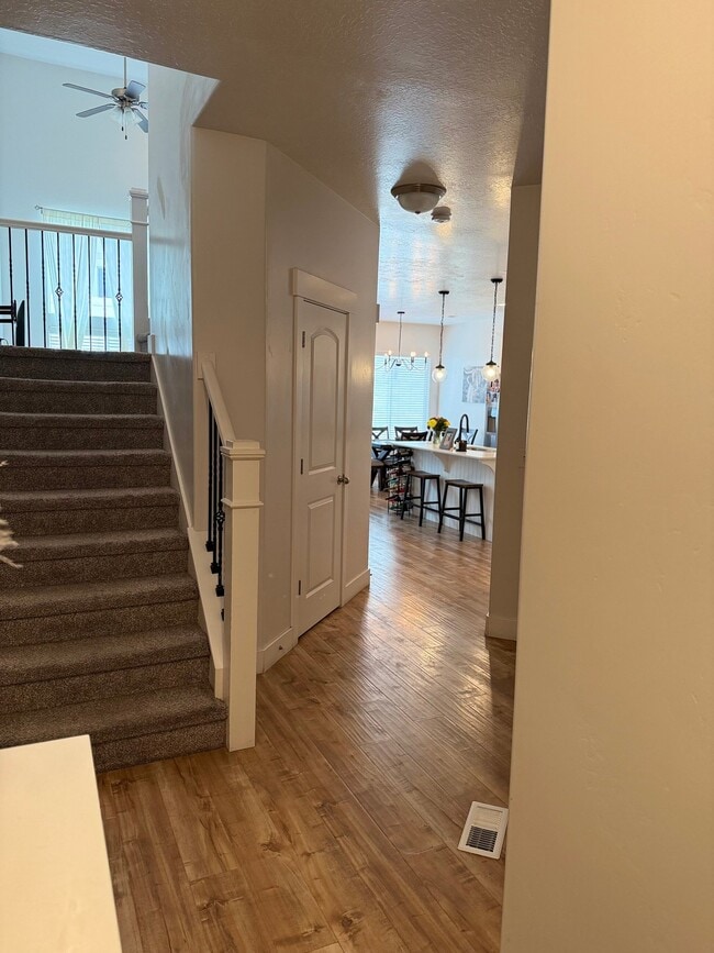 Photo - 14518 Juniper Shade Dr