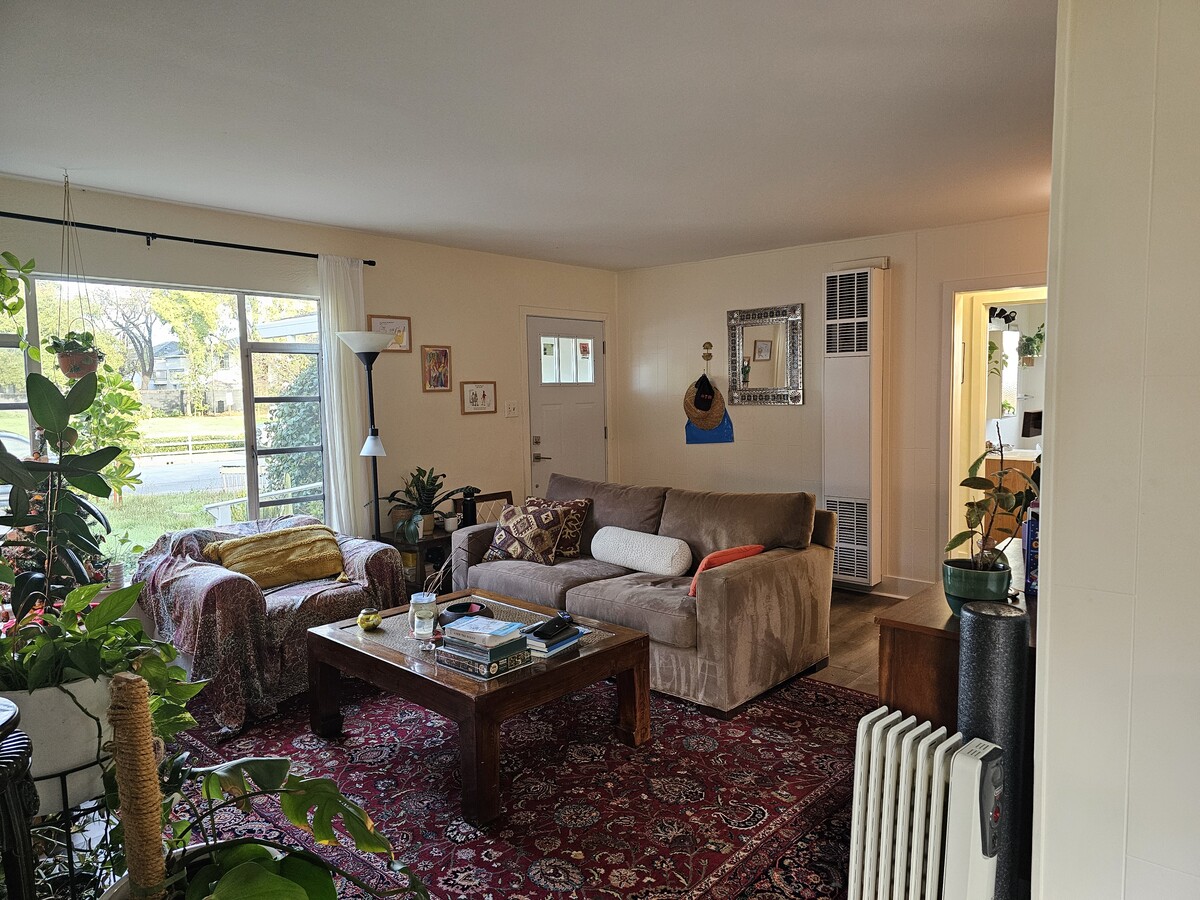 Photo - 239 McEvoy St