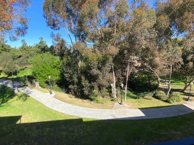 View of Park from Building