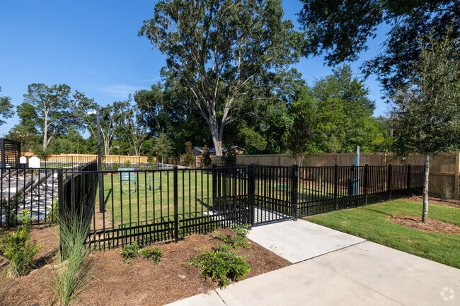 Dog Park