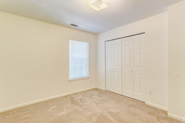 Photo - Meadow Creek