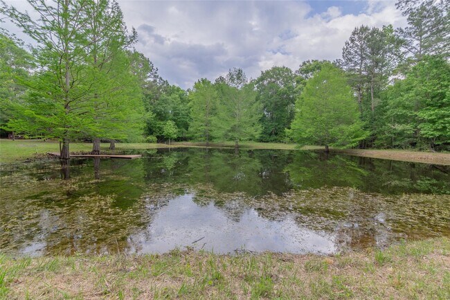Photo - 14701 Cedar Ln Loop