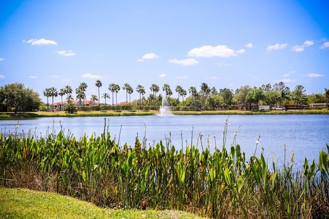Lake