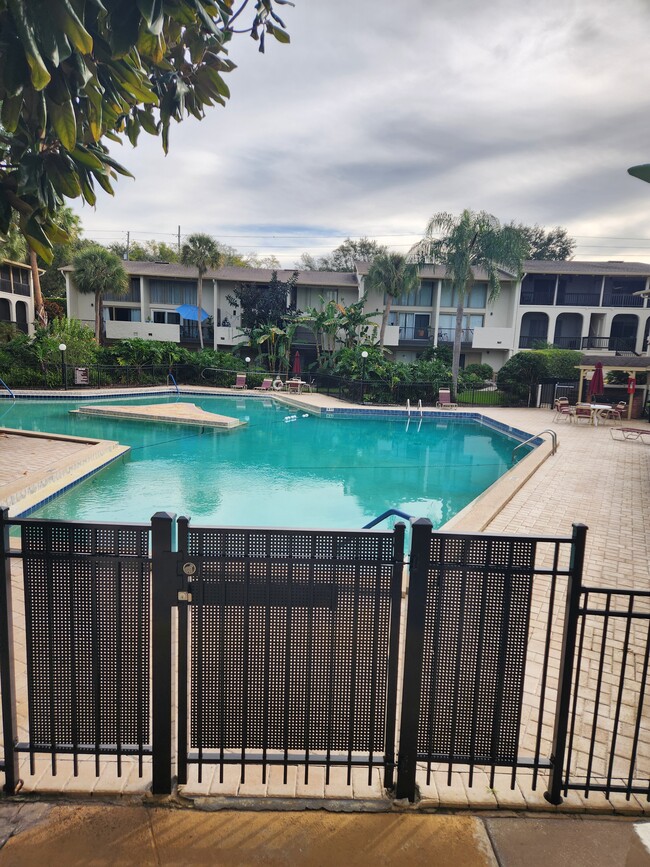 Main Pool - 200 Maitland Ave Condo Unit 78