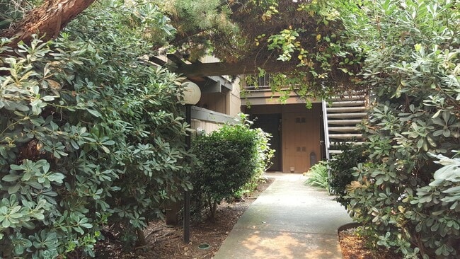 Photo - Lovely 1bd. Ground-Level Condo in Cotati