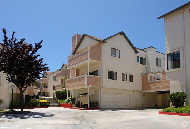 Photo - Devonshire Woods II