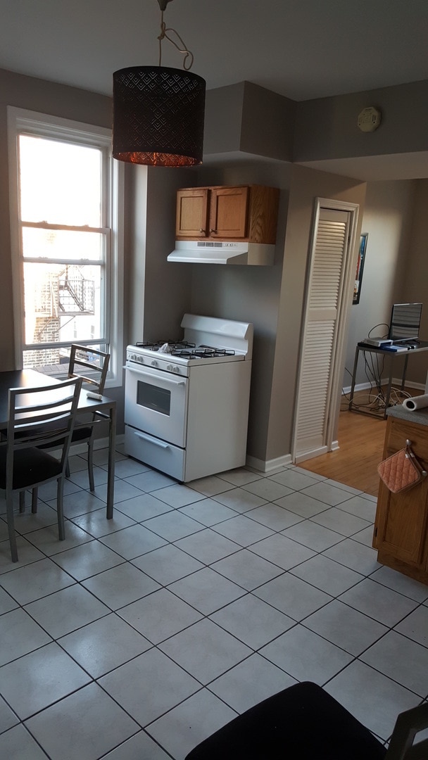 Photo - 1025 W Cullerton St Unit 3R