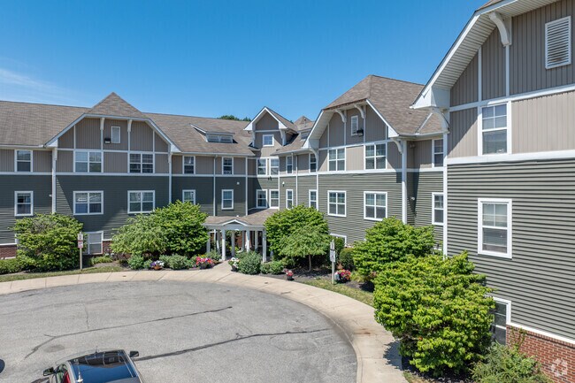 Alternate View - Steeplechase