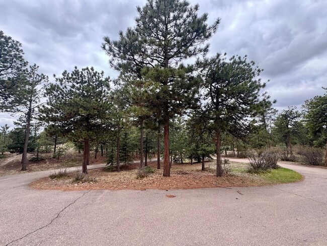 Photo - Beautiful home in Black Forest on 2.5 acres