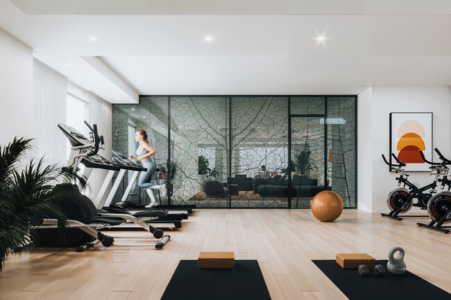 Photo - Savana sur le Parc