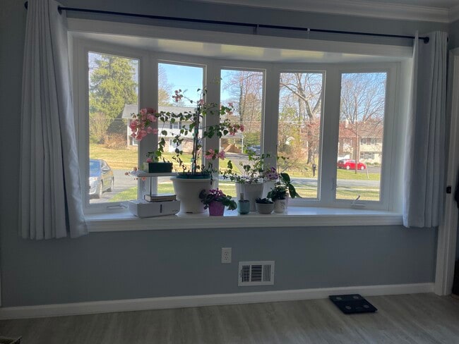 Photo - 17804 Park Mill Dr