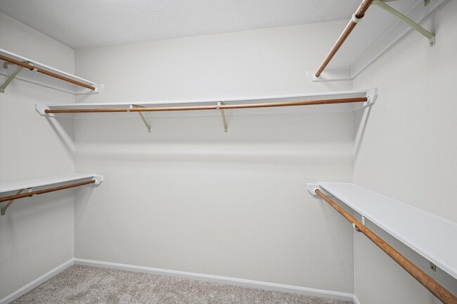 Building Photo - 7 Grey Birch Pl