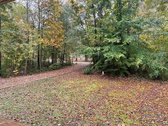 Photo - 6314 Springside Dr