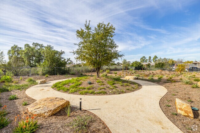 Walking Paths