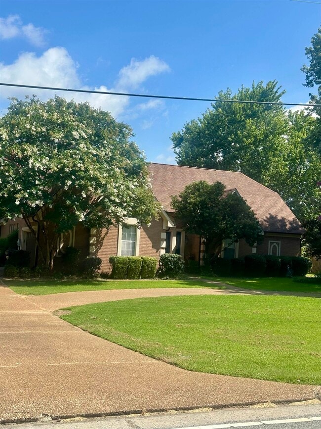 Photo - 814 Byhalia Rd House
