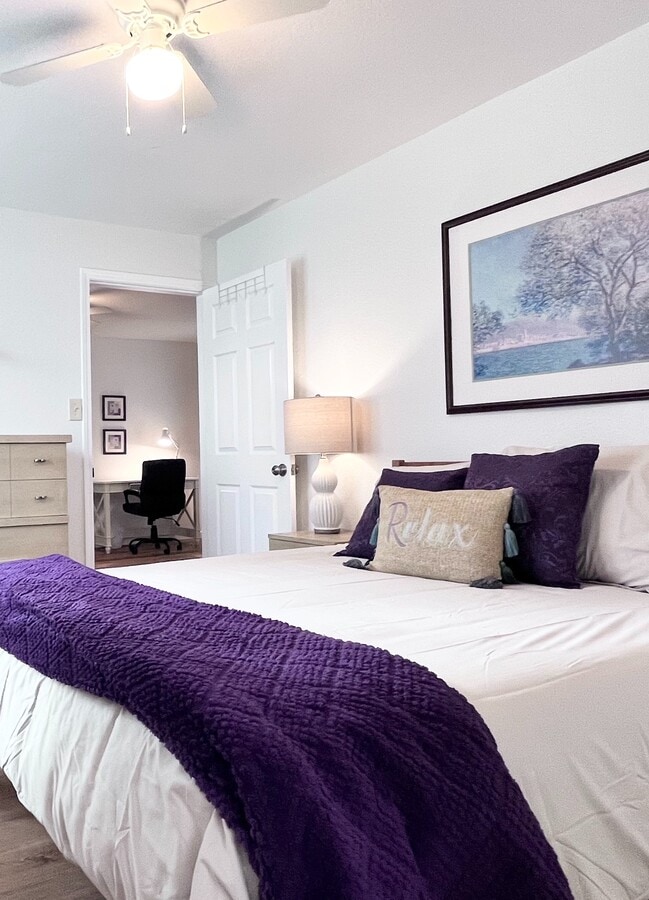 Rocky Court - Rocky Court Unidad 4