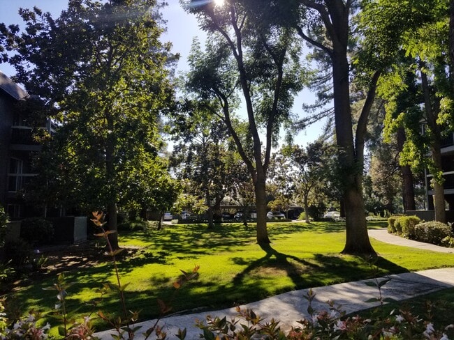 Private Walking Area