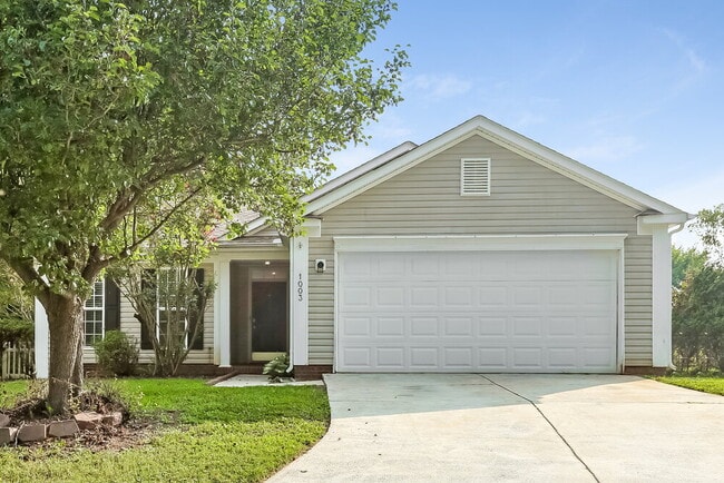 Building Photo - 1003 Salmon River Dr