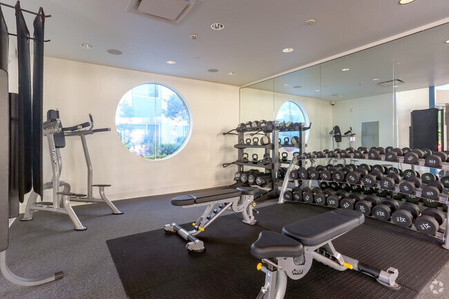 Gimnasio