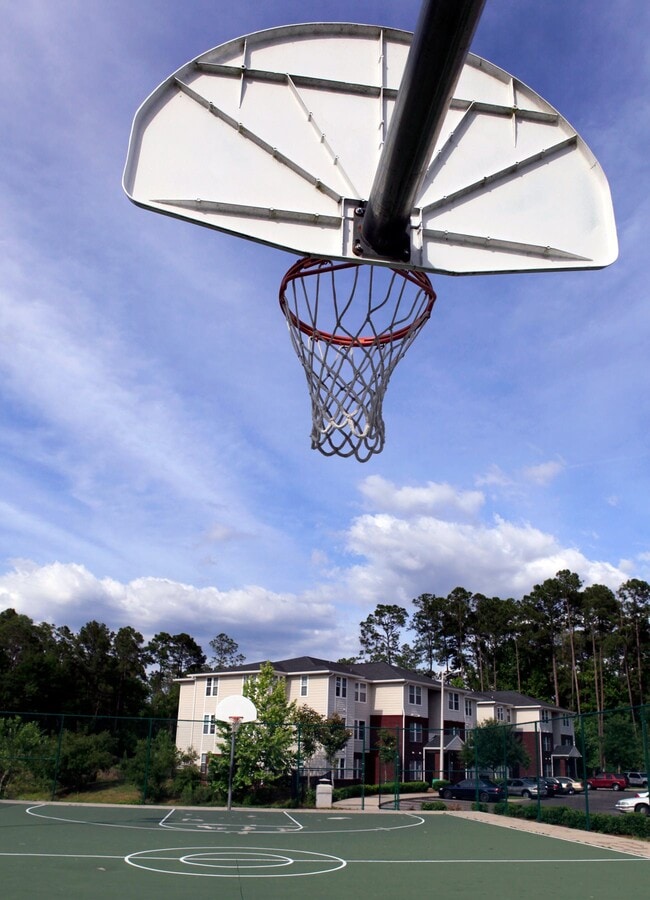Tiger Bay | Gainesville, FL | Basketball Court