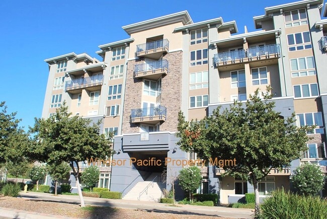 Building Photo - Great Corner Condo ! Lots Of Light ! Elan ... Unit #319