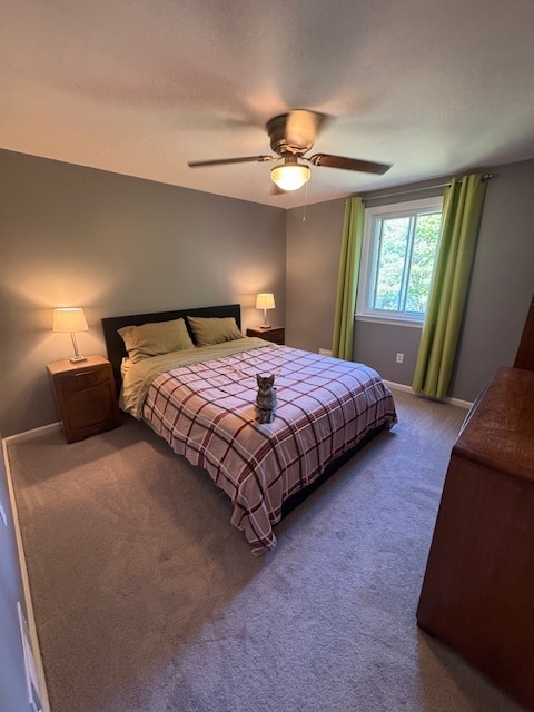 Photo - 815 Louisa St