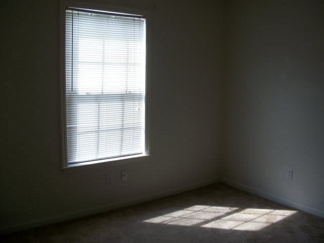 Photo - 217 Sandy Run