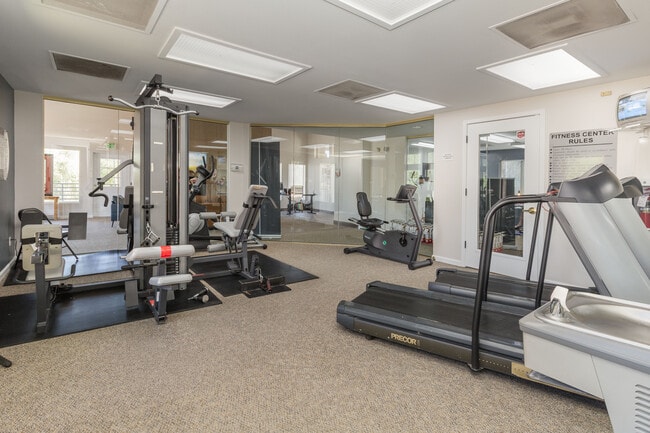 Mountain View Meadows | Gym - Mountain View Meadows