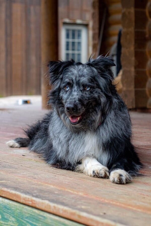 Photo - 3251 Bayvue Blvd