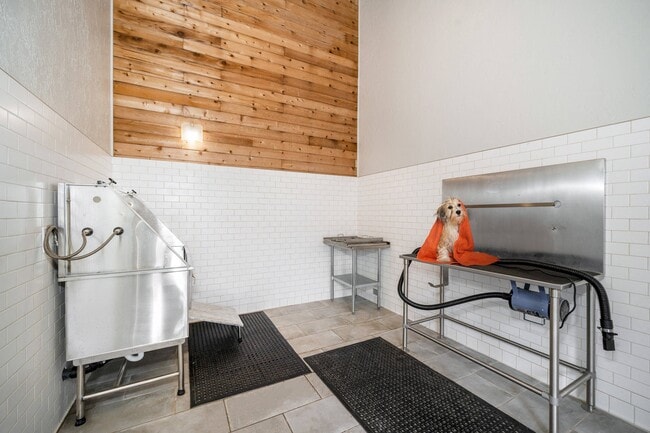 Pet Wash