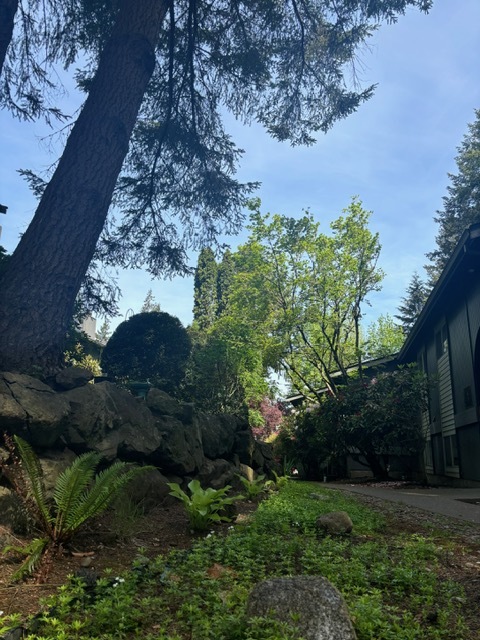 Building Photo - Harborwood West Apartments
