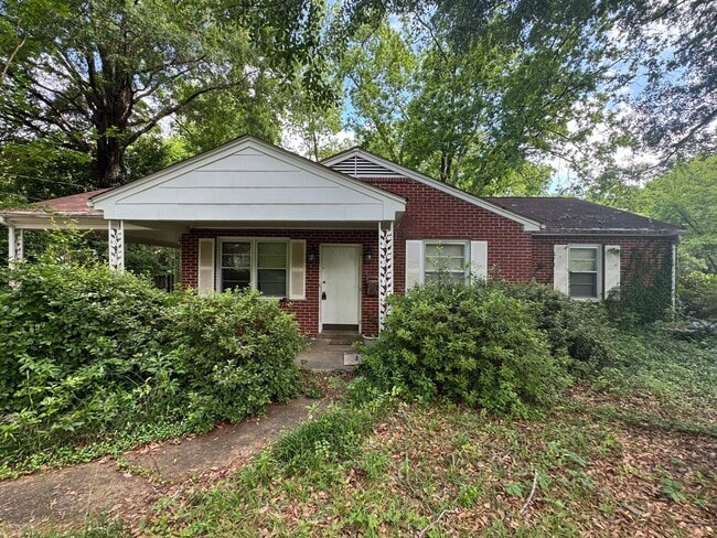 Bungalow in the Trees - Bungalow in the Trees House