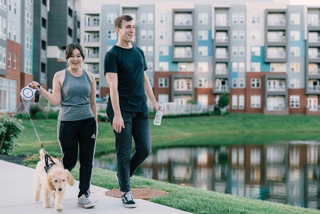 Photo - The Smith Valley Forge