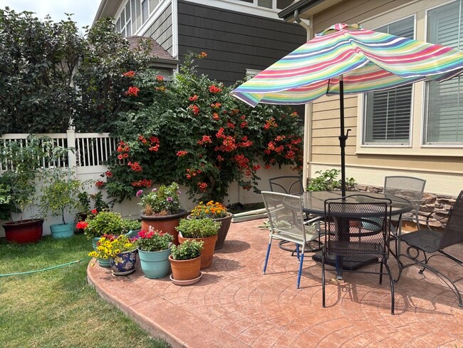 Backyard/Deck - 11666 Osceola St Unidad Basement apartment