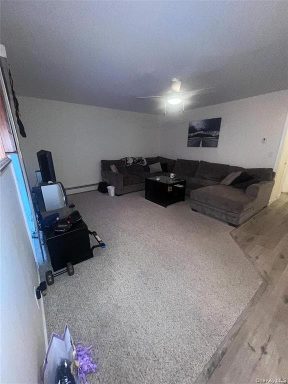 Photo - 31 Richmond Blvd