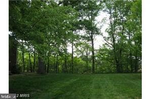 Building Photo - 3426 Martha Custis Dr Unit 308 Rental