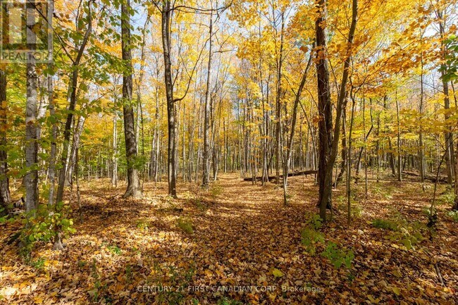 Photo - 10771 Melrose Dr