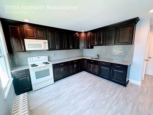 317 Davis Ave Unit 2