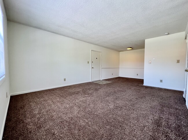 Yorkleigh Apartments