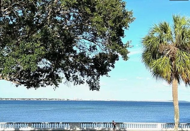Photo - 4015 Bayshore Blvd Unidad 8D