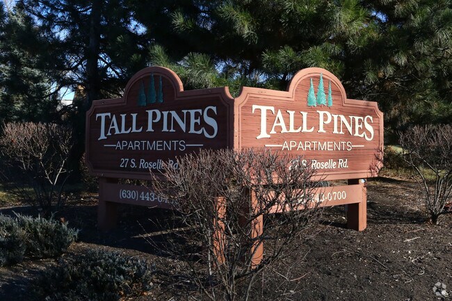 Photo - Tall Pines