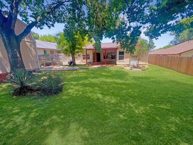 Photo - 9215 Autumn Branches