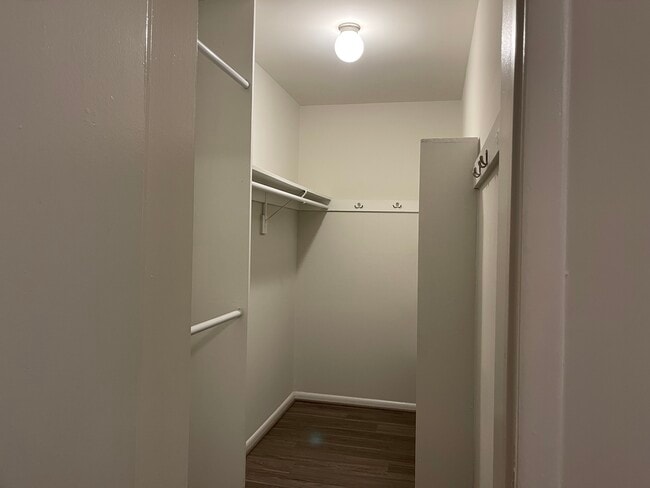Bedroom Walk-In Closet - Skyview Apartments