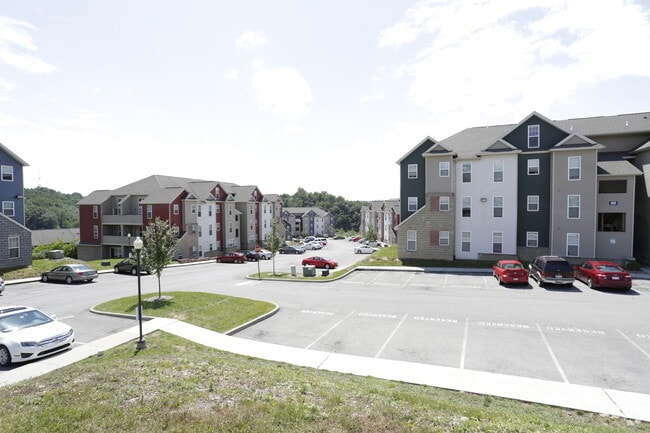 The Lofts