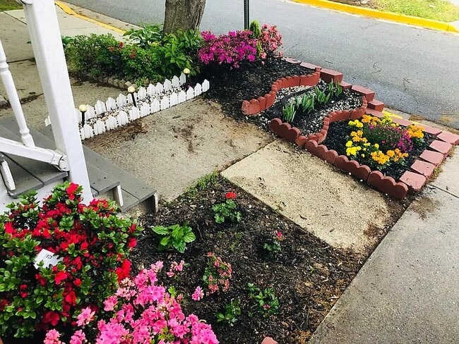 Photo - 18904 Snow Fields Cir